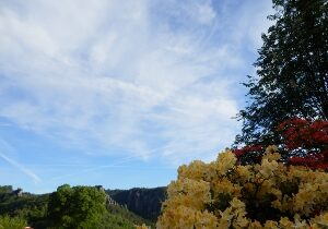 Blüten mit Blick auf den Felsen