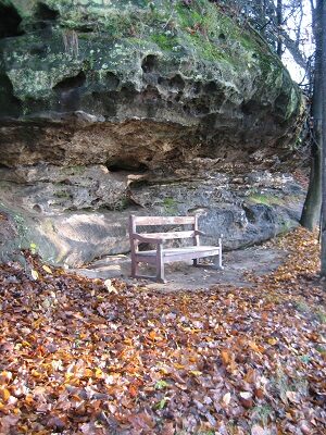 Parkbank im Rhododendronpark